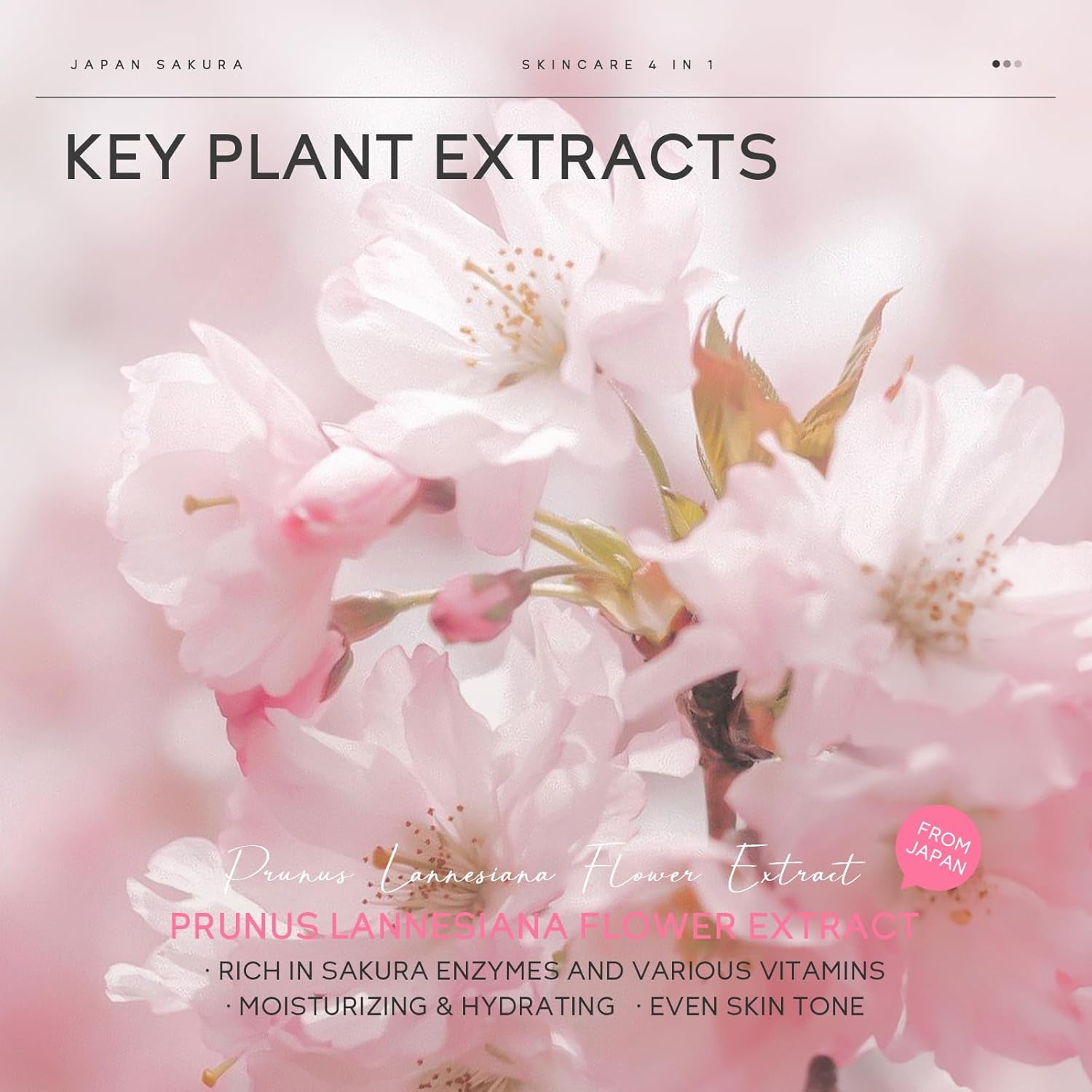 LAIKOU Sakura Skincare Kit 4 Piezas Set Regalo